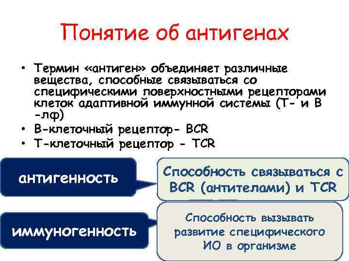 Понятие об антигенах • Термин «антиген» объединяет различные вещества, способные связываться со специфическими поверхностными