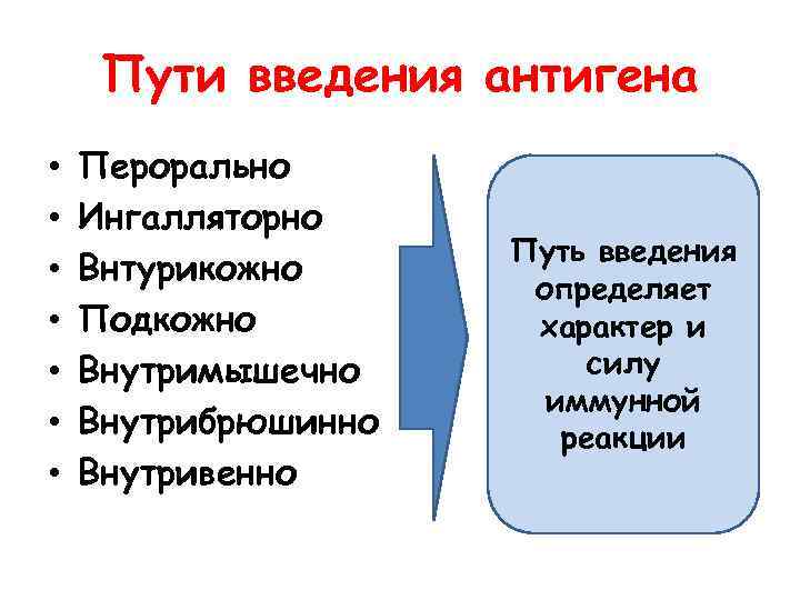 Пути введения антигена • • Перорально Ингалляторно Внтурикожно Подкожно Внутримышечно Внутрибрюшинно Внутривенно Путь введения