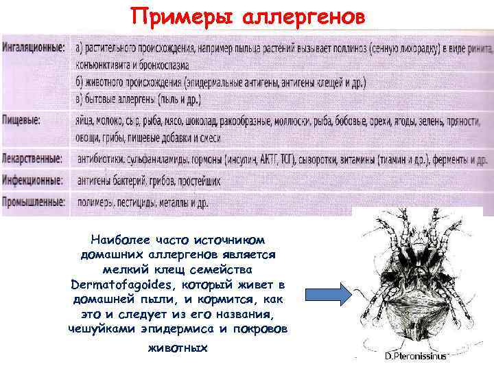 Примеры аллергенов Наиболее часто источником домашних аллергенов является мелкий клещ семейства Dermatofagoides, который живет