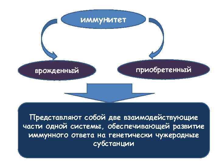 иммунитет врожденный приобретенный Представляют собой две взаимодействующие части одной системы, обеспечивающей развитие иммунного ответа