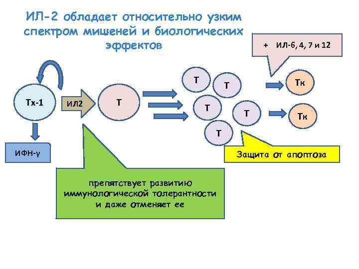 Схема иммунной реакции