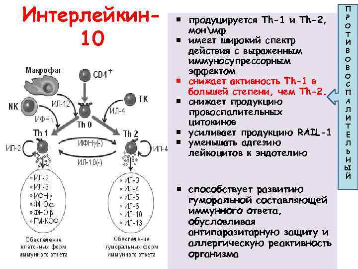 Регуляция иммунных процессов