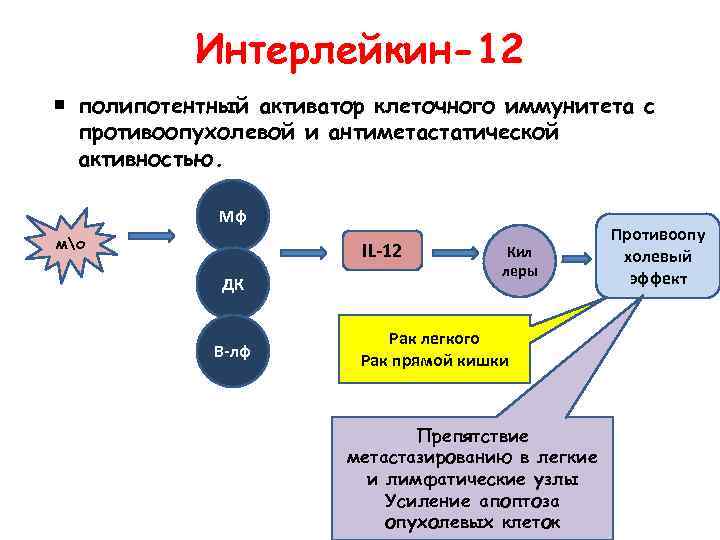 Схема иммуного ответа