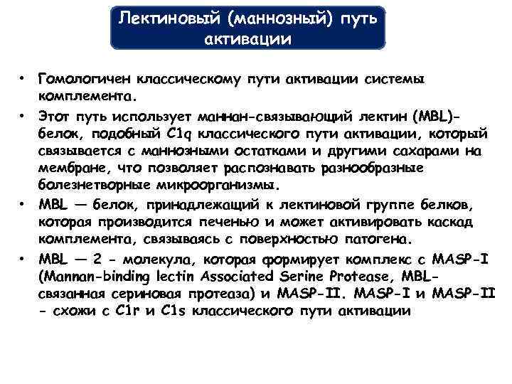 Лектиновый (маннозный) путь активации • Гомологичен классическому пути активации системы комплемента. • Этот путь