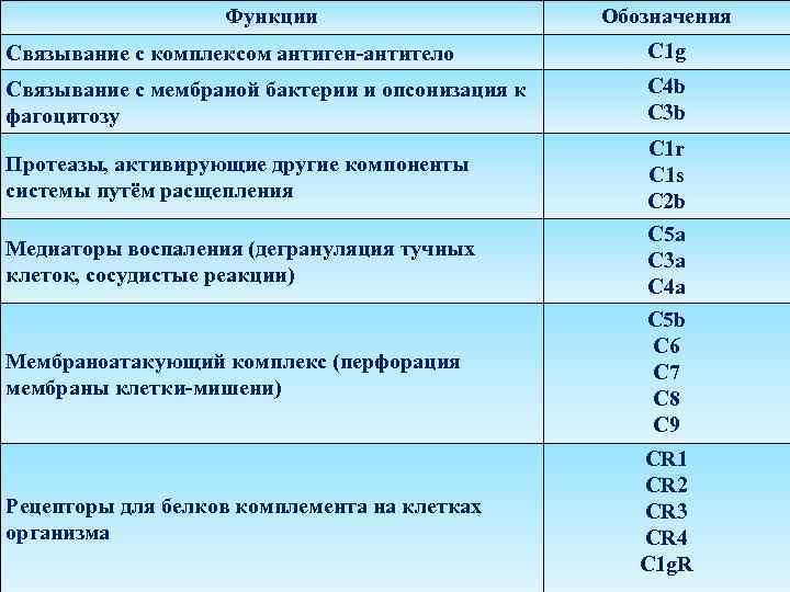 Функции Обозначения Связывание с комплексом антиген-антитело C 1 g Связывание с мембраной бактерии и