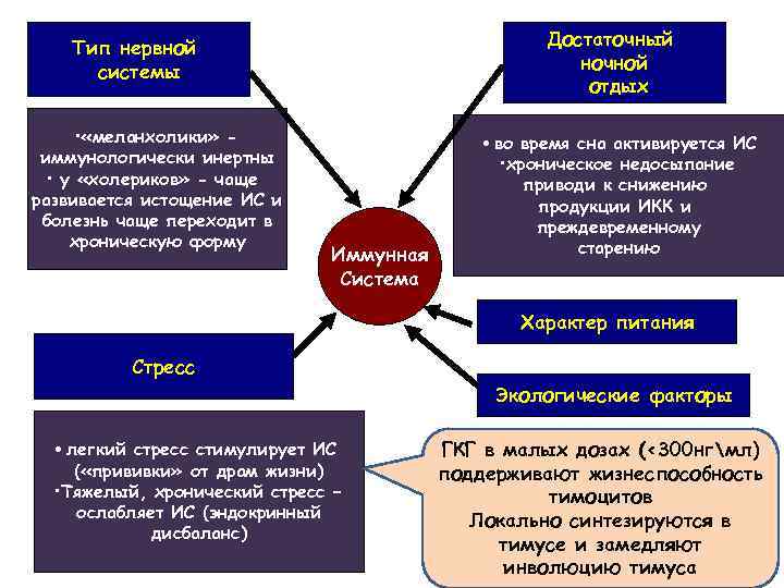 Достаточный ночной отдых Тип нервной системы • «меланхолики» иммунологически инертны • у «холериков» -