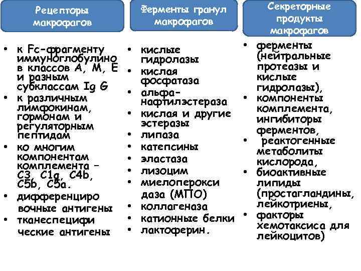 Рецепторы макрофагов Ферменты гранул макрофагов • к Fс-фрагменту иммуноглобулино в классов А, М, Е