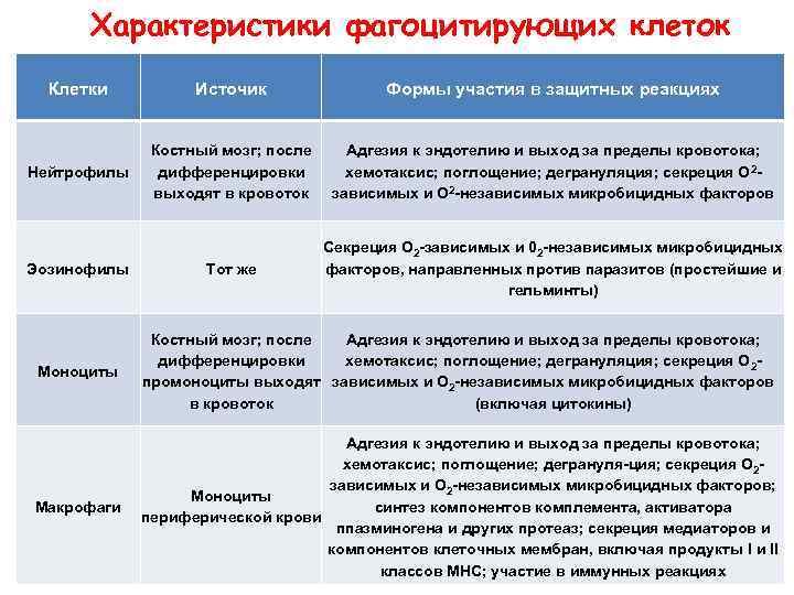 Характеристики фагоцитирующих клеток Клетки Источик Формы участия в защитных реакциях Нейтрофилы Костный мозг; после