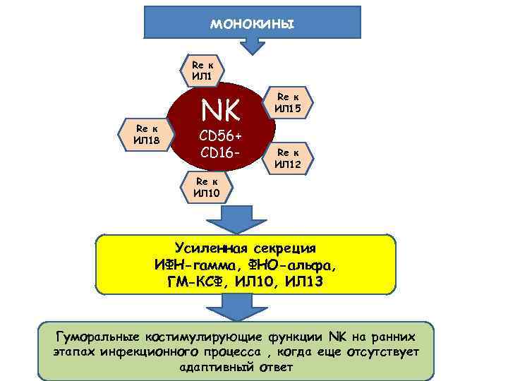 монокины Re к ИЛ 18 NK CD 56+ CD 16 - Re к ИЛ