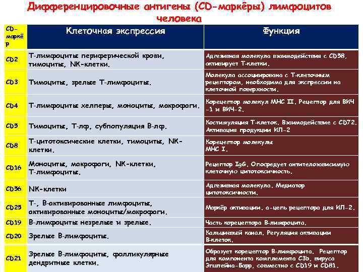 CDмаркё р Дифференцировочные антигены (CD-маркёры) лимфоцитов человека Клеточная экспрессия Функция CD 2 Т‑лимфоциты периферической