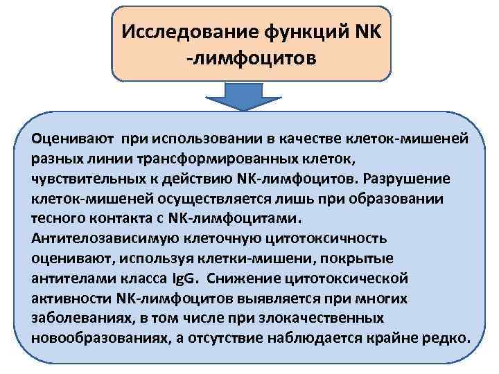 Исследование функций NK -лимфоцитов Оценивают при использовании в качестве клеток-мишеней разных линии трансформированных клеток,