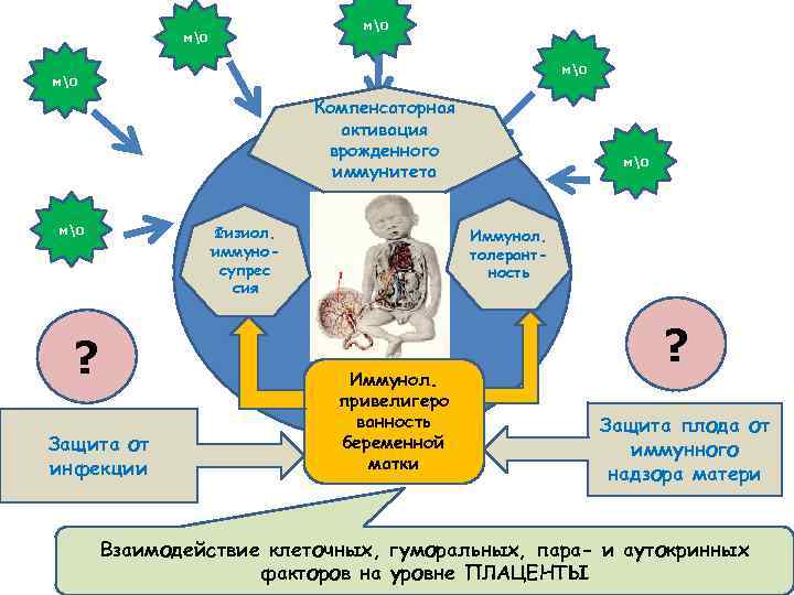 Карта первичного иммунного статуса человека