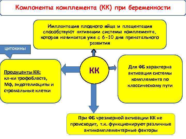 Схема активации системы комплемента