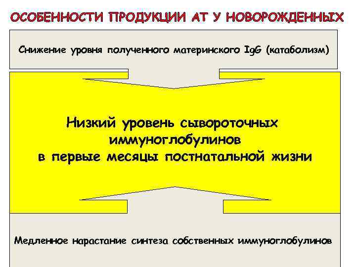 ОСОБЕННОСТИ ПРОДУКЦИИ АТ У НОВОРОЖДЕННЫХ Снижение уровня полученного материнского Ig. G (катаболизм) Низкий уровень