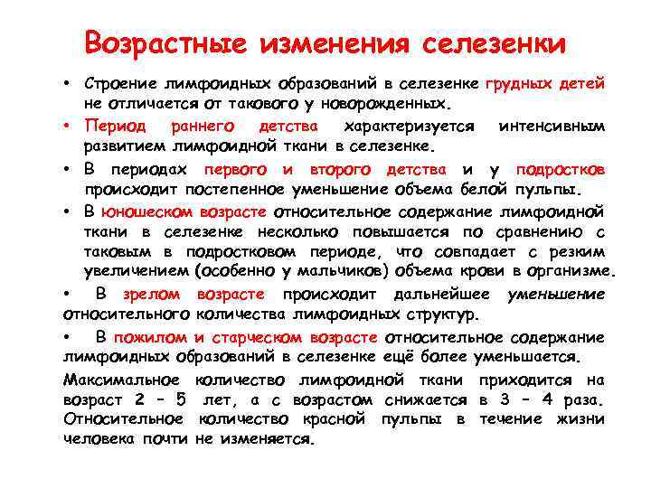 Возрастные изменения селезенки • Строение лимфоидных образований в селезенке грудных детей не отличается от