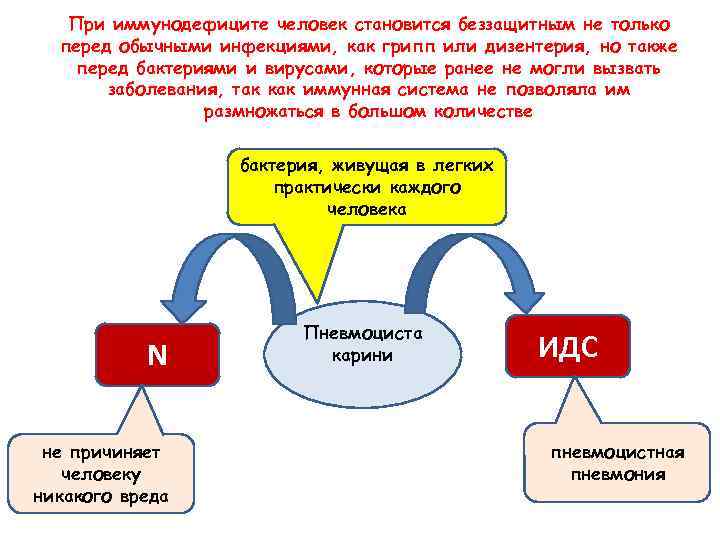 При иммунодефиците человек становится беззащитным не только перед обычными инфекциями, как грипп или дизентерия,