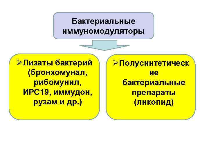 Бактериальные иммуномодуляторы ØЛизаты бактерий (бронхомунал, рибомунил, ИРС 19, иммудон, рузам и др. ) ØПолусинтетическ