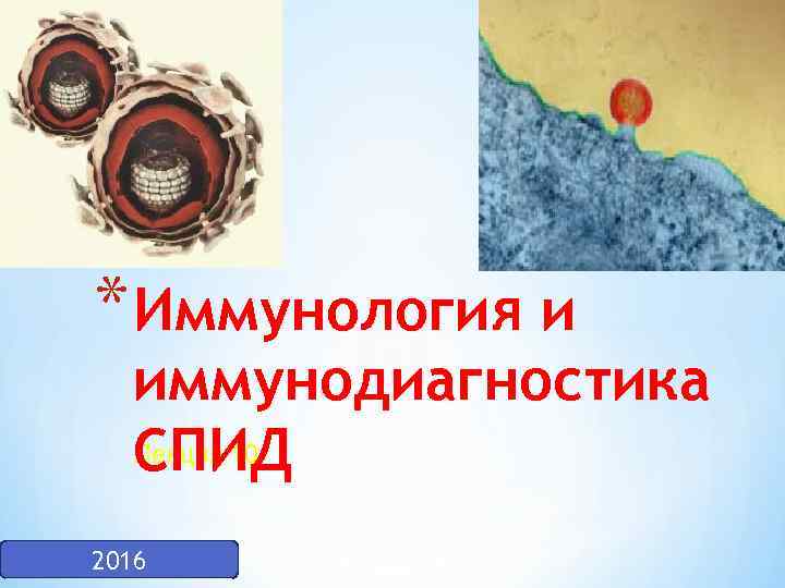 * Иммунология и иммунодиагностика Лекция 10 СПИД 2016 