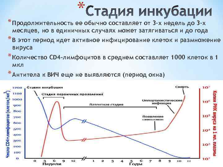 * * Продолжительность ее обычно составляет от 3 -х недель до 3 -х месяцев,