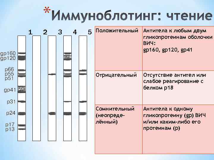 * 1 2 3 4 5 Положительный Антитела к любым двум гликопротеинам оболочки ВИЧ: