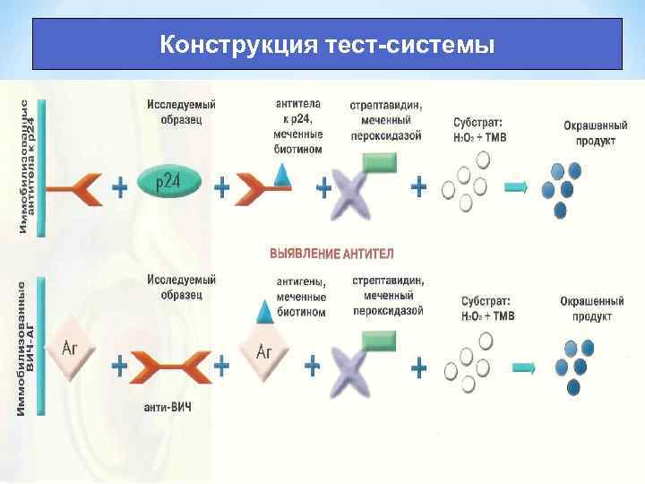 Конструкция тест-системы 