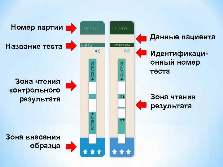 Проверочная зона. Тестовая полоска и контрольная. Тестовая зона теста. Тестовая и контрольная зона. Тестовая и контрольная зона на тесте.