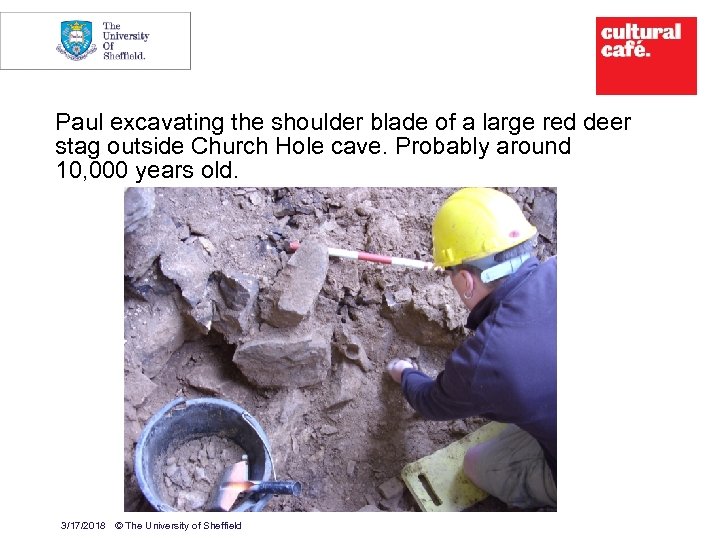 10 Paul excavating the shoulder blade of a large red deer stag outside Church