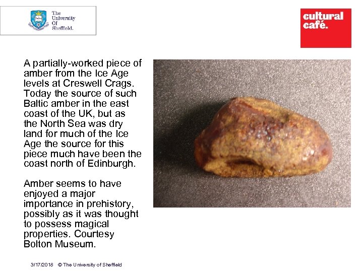 14 A partially-worked piece of amber from the Ice Age levels at Creswell Crags.