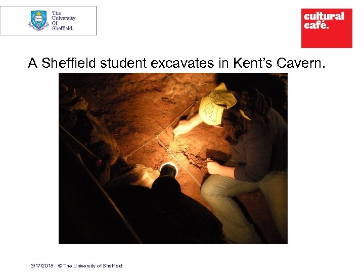 5 A Sheffield student excavates in Kent’s Cavern. 3/17/2018 © The University of Sheffield