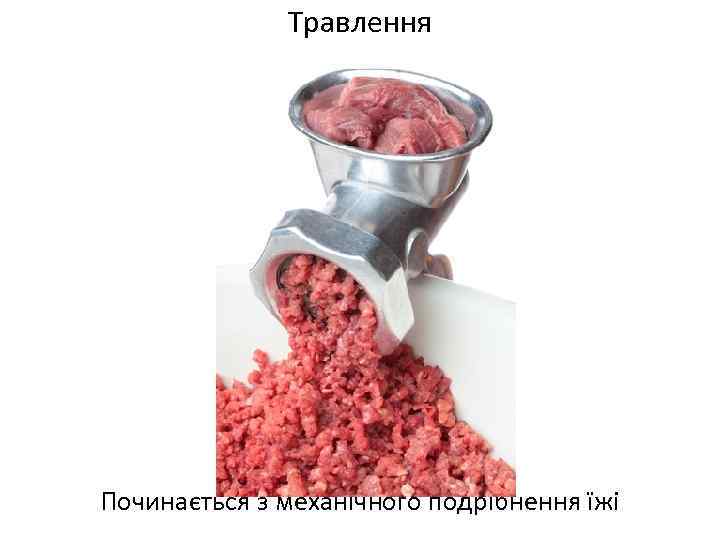 Травлення Починається з механічного подрібнення їжі 