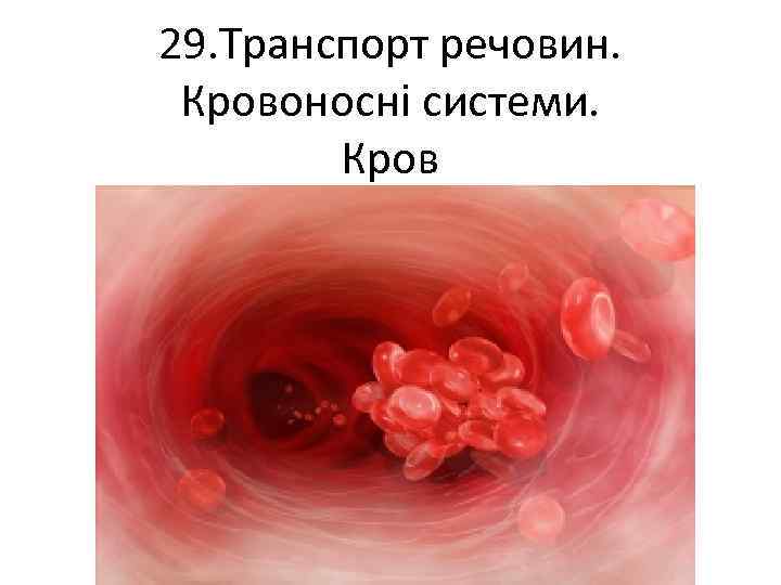 29. Транспорт речовин. Кровоносні системи. Кров 