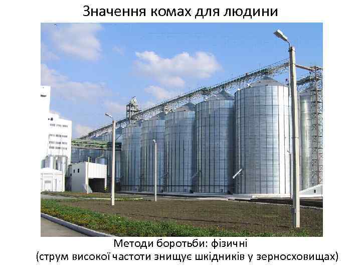 Значення комах для людини Методи боротьби: фізичні (струм високої частоти знищує шкідників у зерносховищах)