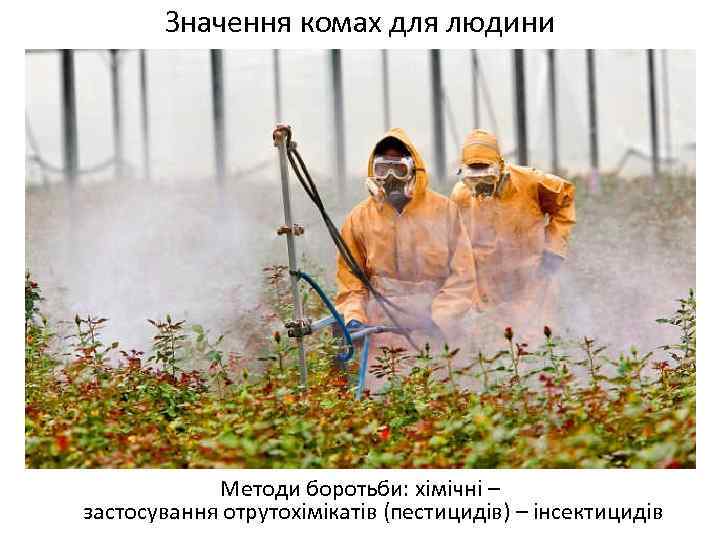 Значення комах для людини Методи боротьби: хімічні – застосування отрутохімікатів (пестицидів) – інсектицидів 