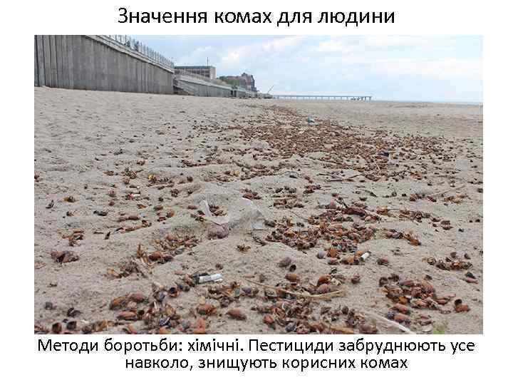 Значення комах для людини Методи боротьби: хімічні. Пестициди забруднюють усе навколо, знищують корисних комах