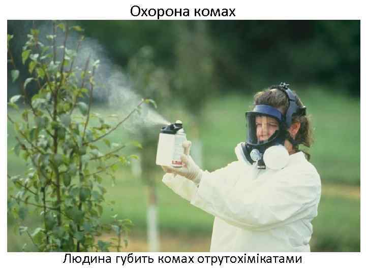 Охорона комах Людина губить комах отрутохімікатами 