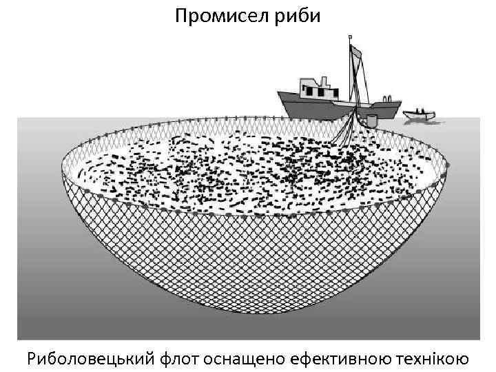 Промисел риби Риболовецький флот оснащено ефективною технікою 