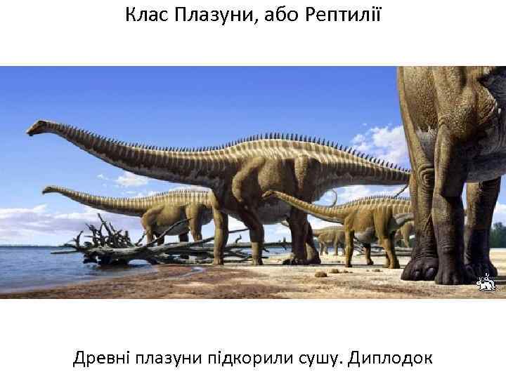 Клас Плазуни, або Рептилії Древні плазуни підкорили сушу. Диплодок 