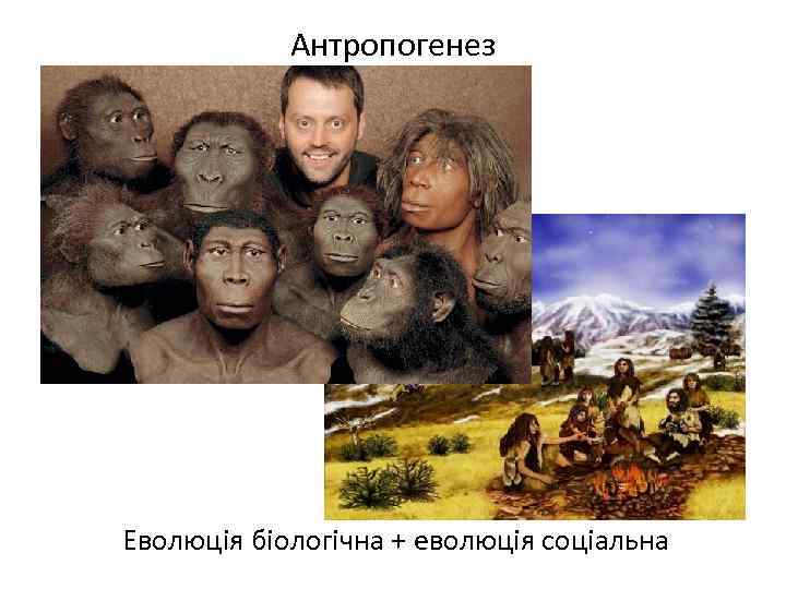 Антропогенез Еволюція біологічна + еволюція соціальна 