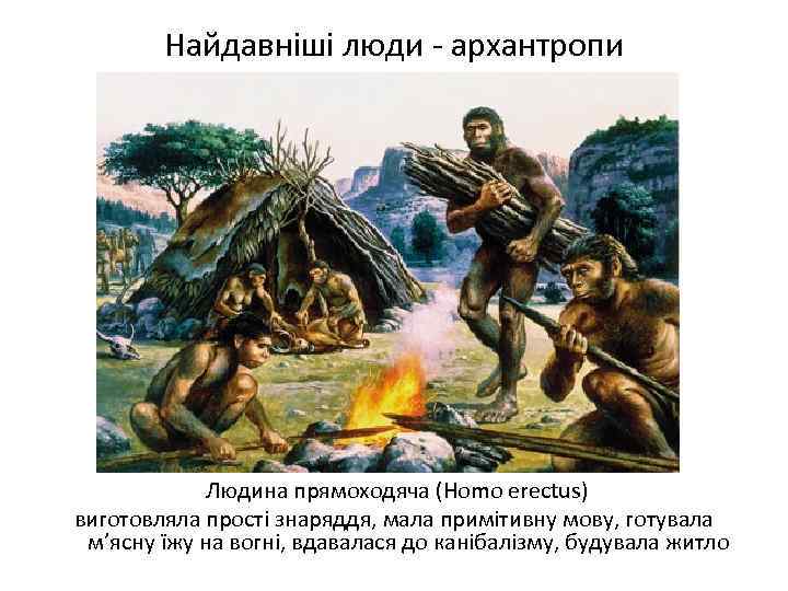 Найдавніші люди - архантропи Людина прямоходяча (Homo erectus) виготовляла прості знаряддя, мала примітивну мову,