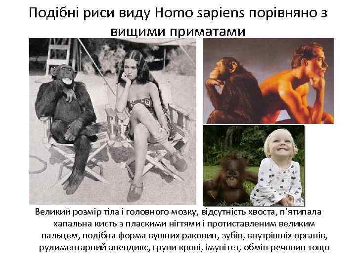 Подібні риси виду Homo sapiens порівняно з вищими приматами Великий розмір тіла і головного