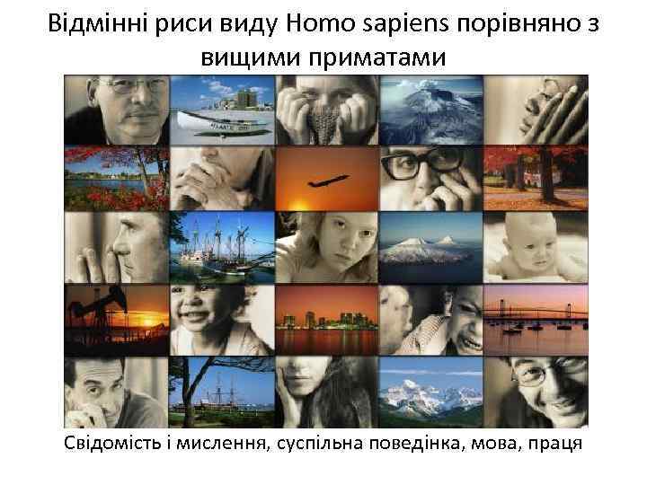 Відмінні риси виду Homo sapiens порівняно з вищими приматами Свідомість і мислення, суспільна поведінка,