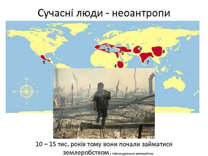 Сучасні люди - неоантропи 10 – 15 тис. років тому вони почали займатися землеробством.