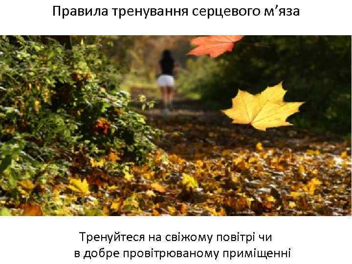 Правила тренування серцевого м’яза Тренуйтеся на свіжому повітрі чи в добре провітрюваному приміщенні 
