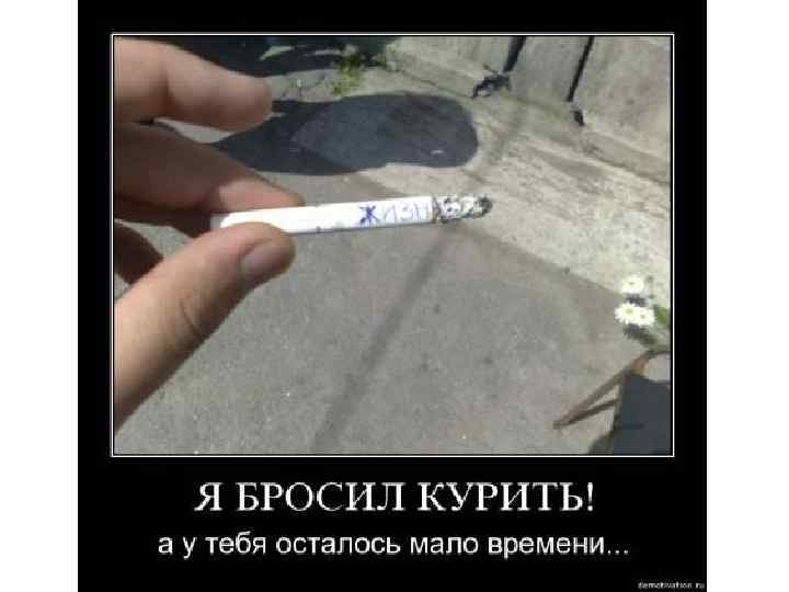 Здорове серце 