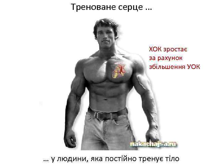Треноване серце … ХОК зростає за рахунок збільшення УОК … у людини, яка постійно