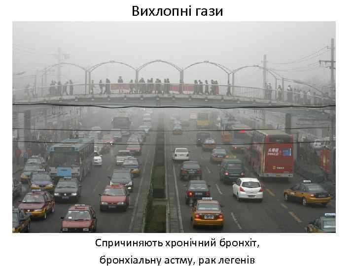Вихлопні гази Спричиняють хронічний бронхіт, бронхіальну астму, рак легенів 