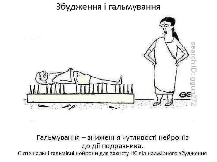 Збудження і гальмування Гальмування – зниження чутливості нейронів до дії подразника. Є спеціальні гальмівні