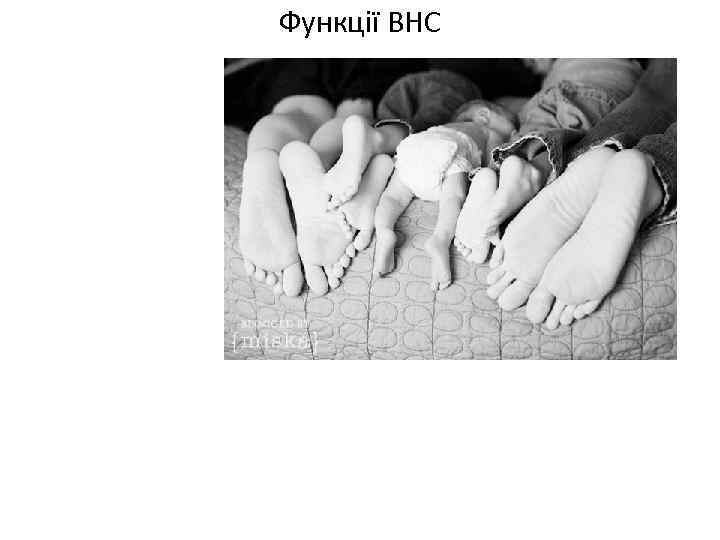 Функції ВНС 