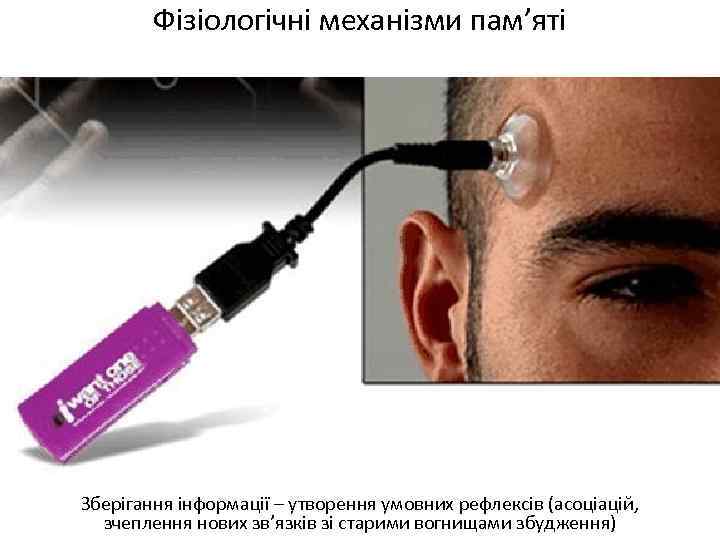 Фізіологічні механізми пам’яті Зберігання інформації – утворення умовних рефлексів (асоціацій, зчеплення нових зв’язків зі