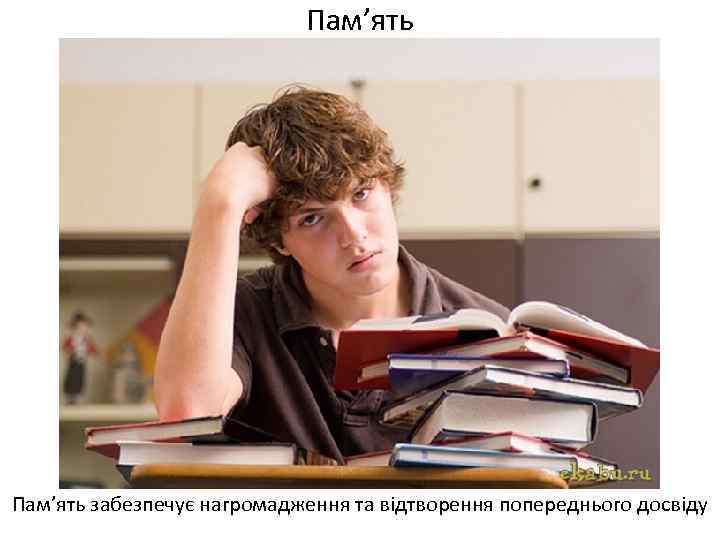 Пам’ять забезпечує нагромадження та відтворення попереднього досвіду 